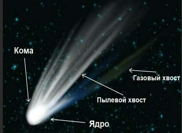 Схема строения кометы. Кометная кома это облако из пыли и газа окружающее кометное ядро.