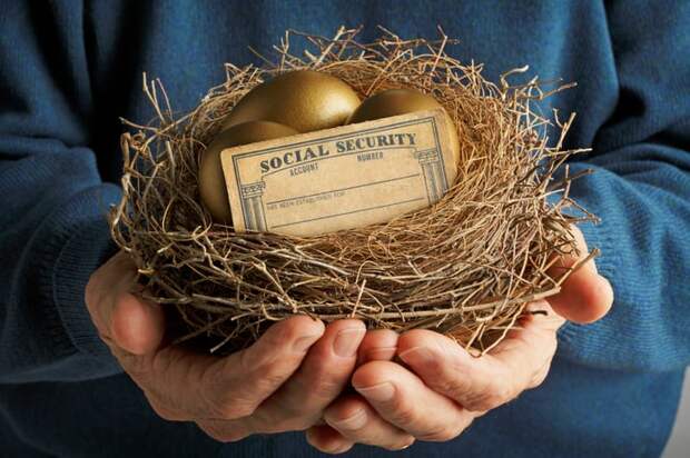 Social Security card in a nest with golden eggs.