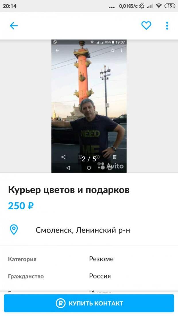 Авито курьер