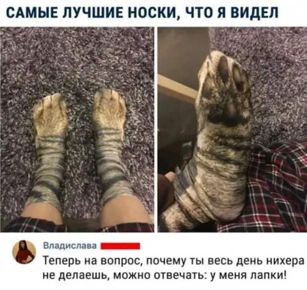 Юмор на любителя Юмор на любителя