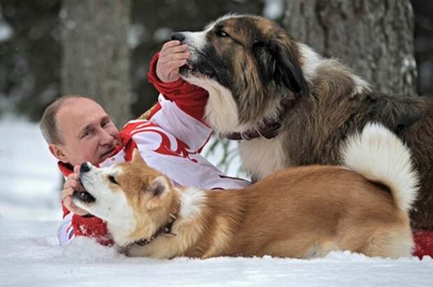 TASS_4519674(2)