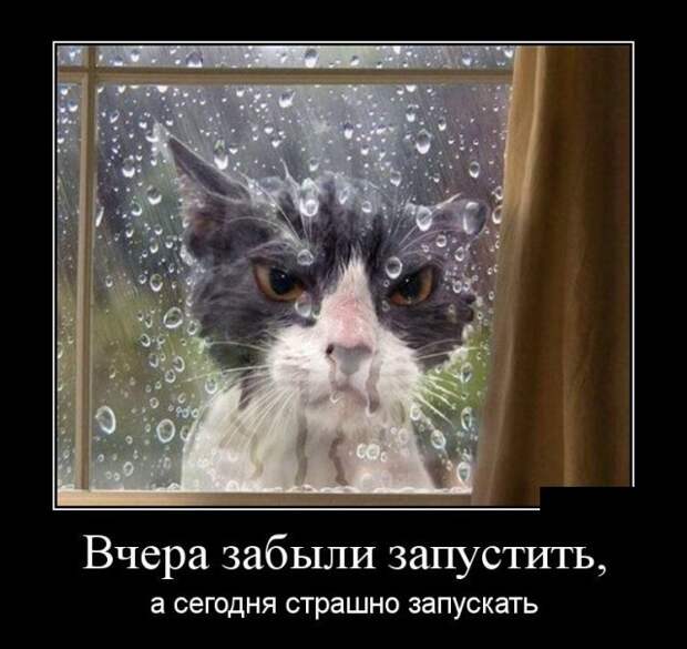 Демотиваторы (30 фото)