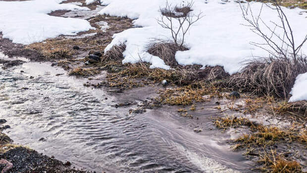 Когда в Москву придет климатическая весна — синоптик Ильин объявил об отступлении зимы