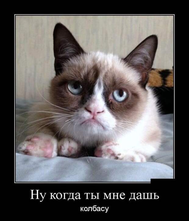 demotivatory_na_subbotu_29_foto_16.jpg