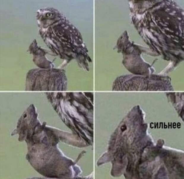 Юмор про девушек