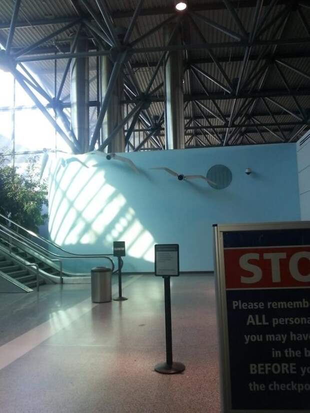 Теперь вы точно посмотрите в камеру! Аэропорт Окленда, США аэропорт, в мире, интересное, креатив, подборка, самолет, удобно, фото