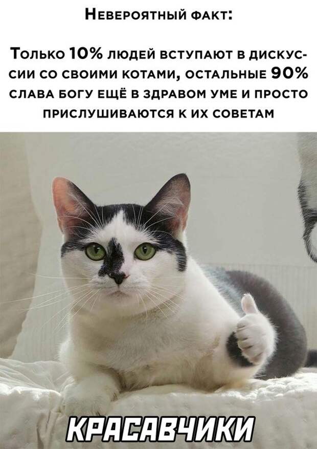 Весёлые