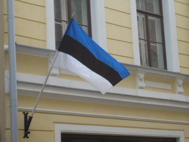 Военэксперт Баранец: Россия не будет реагировать на высказывания Эстонии