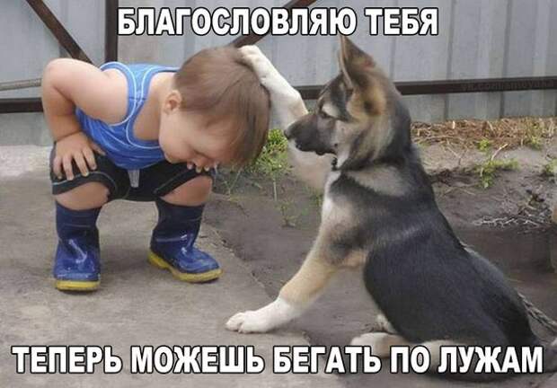 Картинки по запросу ржачные фото с надписью