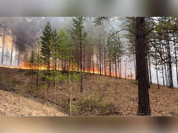 В 16 округах региона сохраняется высокая пожарная опасность