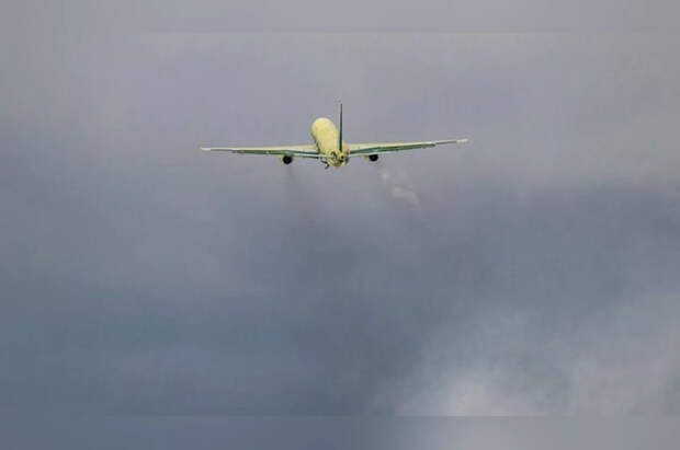 Первым одобренным авиавластями импортозамещённым самолётом стал Ту-214