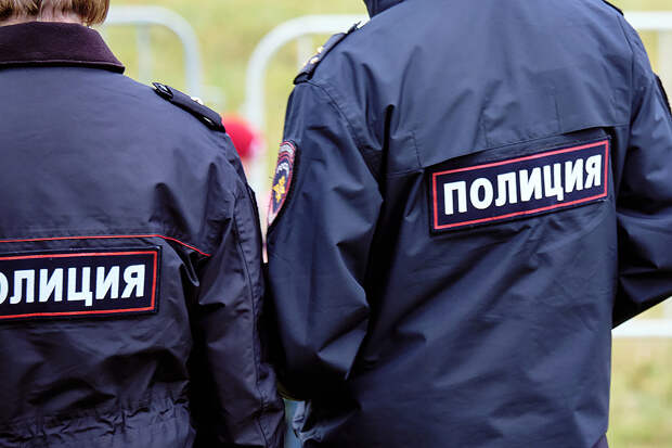 Двух сотрудников полиции избили на концерте в Москве
