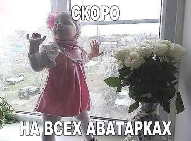 Веселые картинки с надписями Веселые картинки с надписями
