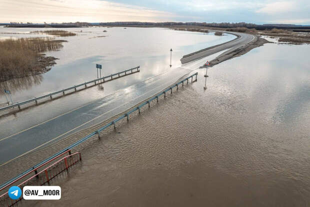 Уровень воды в реке Ишим в районе села Абатское достиг 1145 см