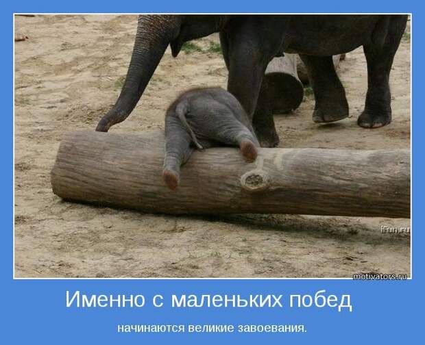 Именно с маленьких побед начинаются великие завоевания, т.к. именно они будут давать силы в момент сомнений и испытаний