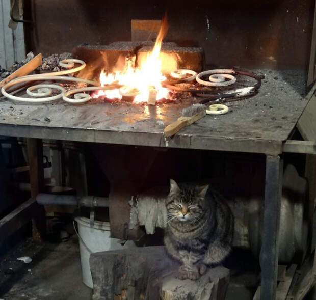 2357103139 (700x666, 350Kb)