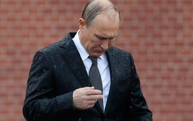 Путин возложил цветы к могиле солдата, несмотря на проливной дождь Путин-годовщина ВОВ, история, факты