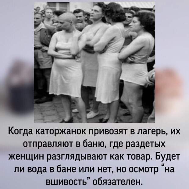 Александр Роджерс: Если позволять коричневому веществу проникать себе в голову, то оно постепенно вытесняет серое