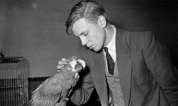 7. Натуралист и телеведущий сэр Дэвид Аттенборо в молодости, конец 1950-х гг. 7. Натуралист и телеведущий сэр Дэвид Аттенборо в молодости, конец 1950-х гг.