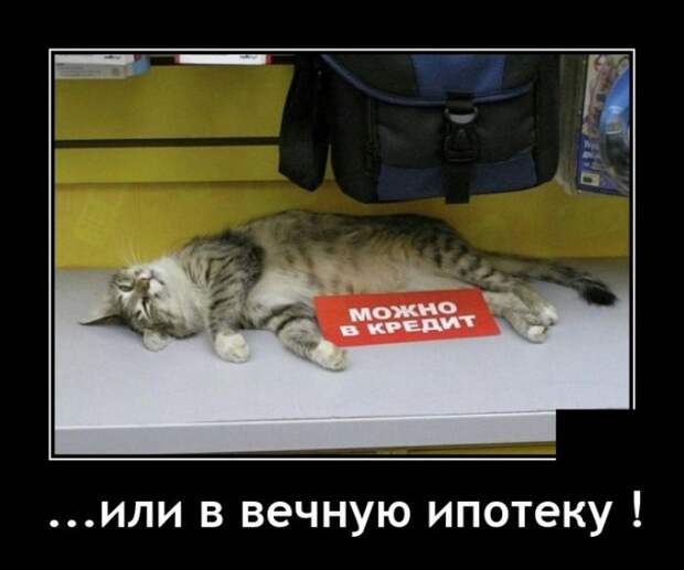 Демотиваторы 5 июля 2021