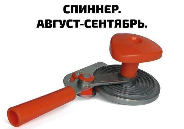 Картинки с надписями картинки, картинки с надписями, надписи, прикол, юмор