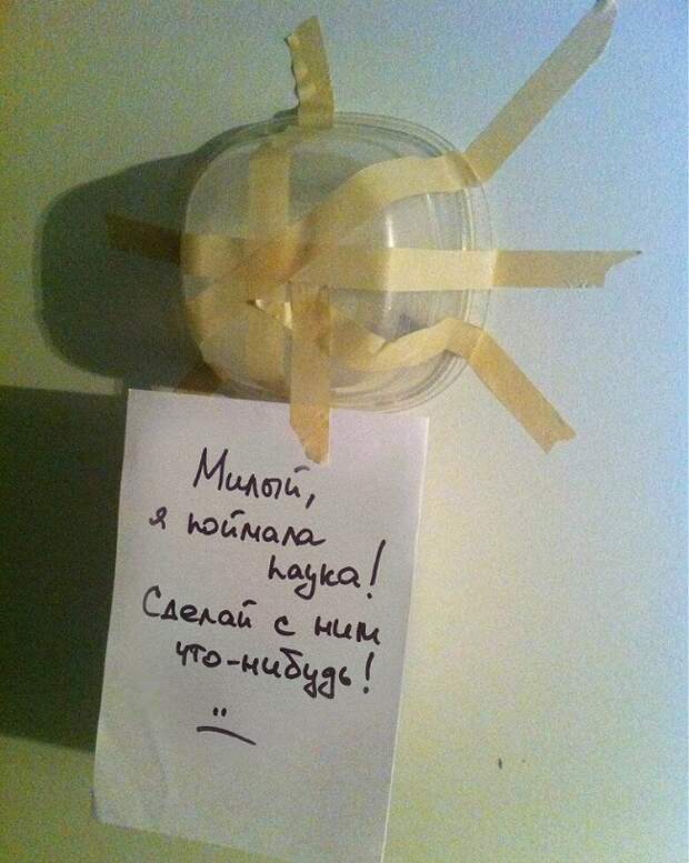 Женская логика и ее жертвы Женская логика и ее жертвы