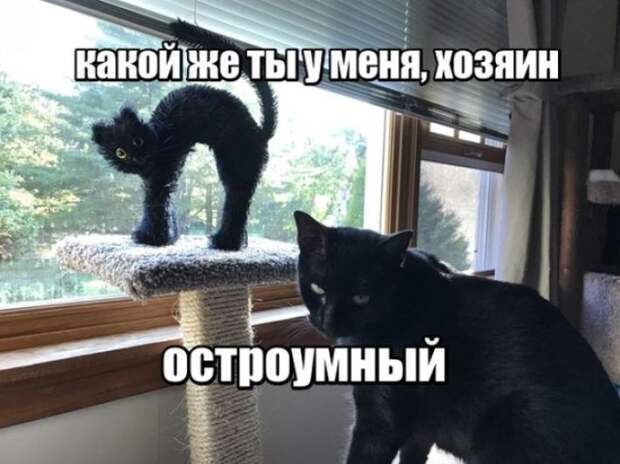 Смешная галерея фотоприколов # 134