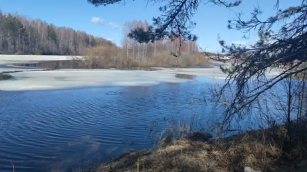 СК сообщил обстоятельства гибели мужчины под Кадуем