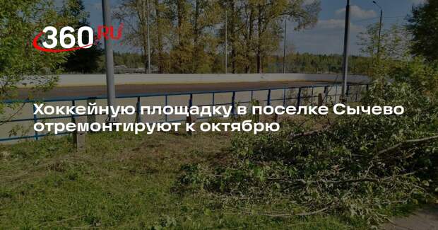 Хоккейную площадку в поселке Сычево отремонтируют к октябрю