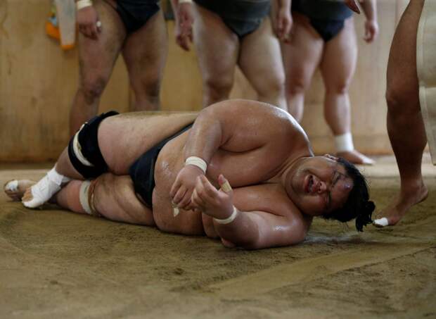 Тренировка и жизнь сумоистов в редких фотографиях