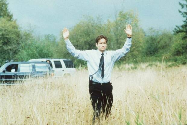 15 интересных фактов о сериале «Секретные материалы» Дэвид Духовны, кино, секретные материалы, сериал, фильм