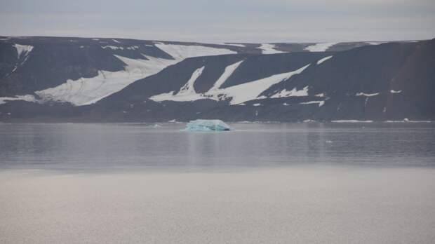 Песков: Россия является арктическим государством в отличие от многих стран ЕС