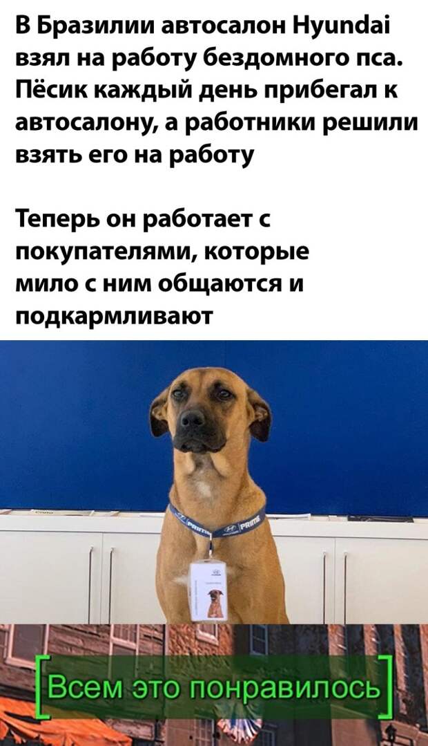 Смешные картинки 6 сентября 2021 года