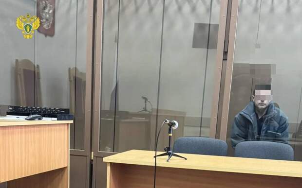 В Рязани подозреваемого в мошенничестве ростовчанина отправили в СИЗО