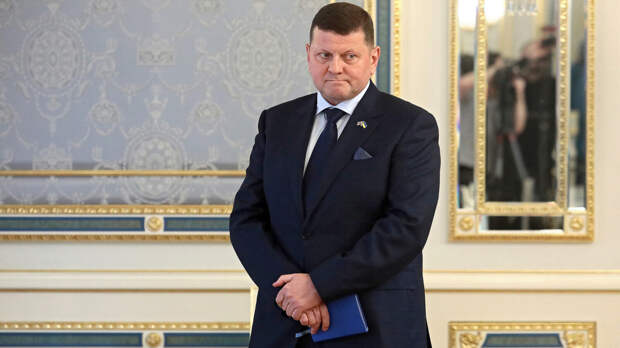 Залужный: украинский завод по изготовлению БПЛА приступил к работе в Британии