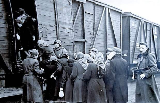 Гитлеровцы отправляют трудоспособное население в Германию в железнодорожных вагонах.