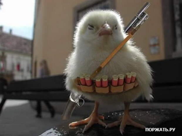 Супер приколы )))
