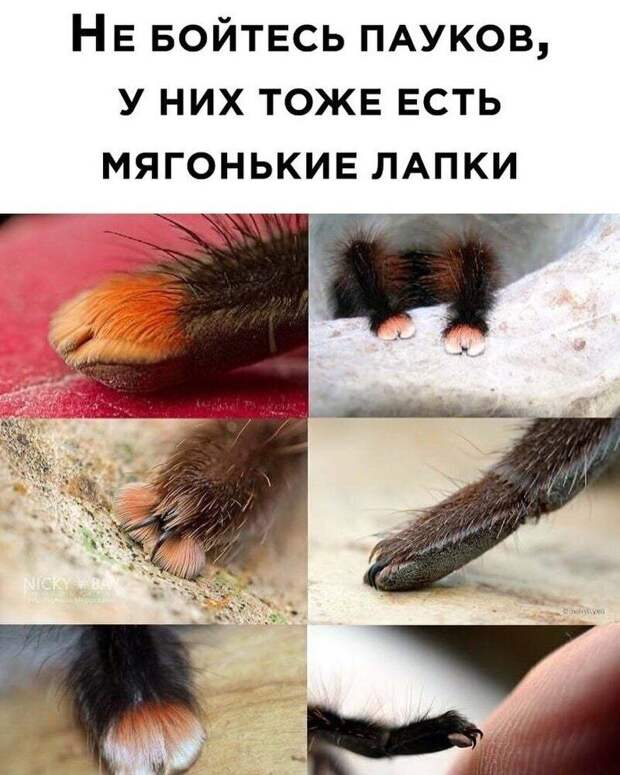 aa9d289c8ae990c4a1c1bda47b5c3d365acbb3637512b6487963462b89bf60d7-1.jpg