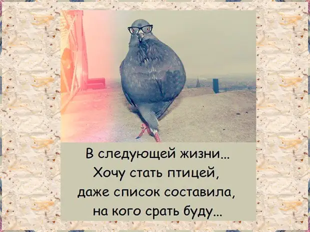 Жена послала мужа погулять с ребенком во дворе, а сама занялась стиркой...