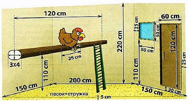 Наглядная схема базовых размеров курятника