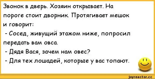 Звонок в дверь хозяин открывает. Анекдот про толика и дворника. Анекдот про дворника дядю Васю. Анекдоты по звонку.