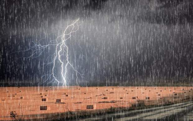 В Рязанской области выпустили метеопредупреждение из-за грозы с ливнем