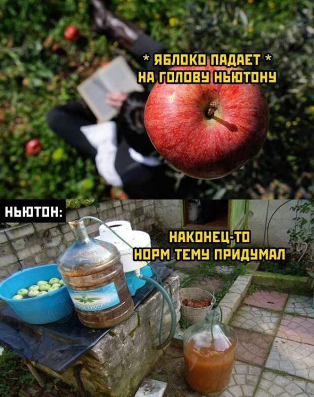 Весёлые