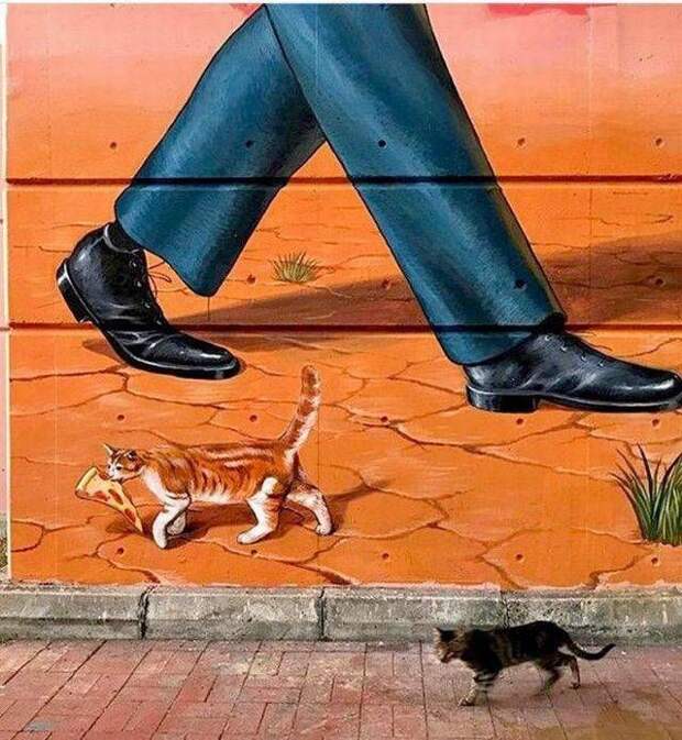 Прикольные и веселые картинки для позитива (11 фото) Прикольные и веселые картинки для позитива (11 фото)