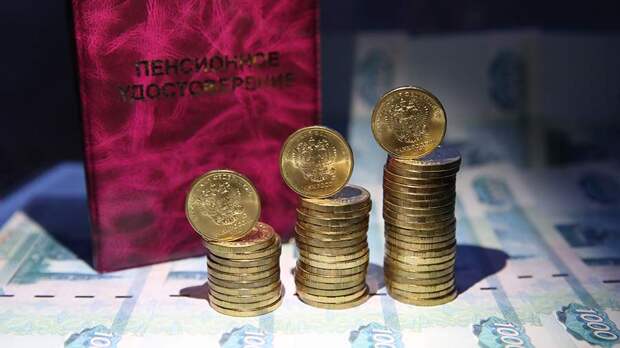 Экономист указала на удвоение прожиточного минимума пенсионеров в РФ за 10 лет
