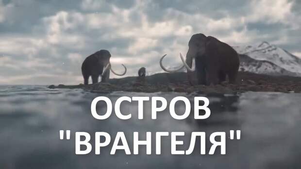 Остров Врангеля - горный остров с богатой фауной. 