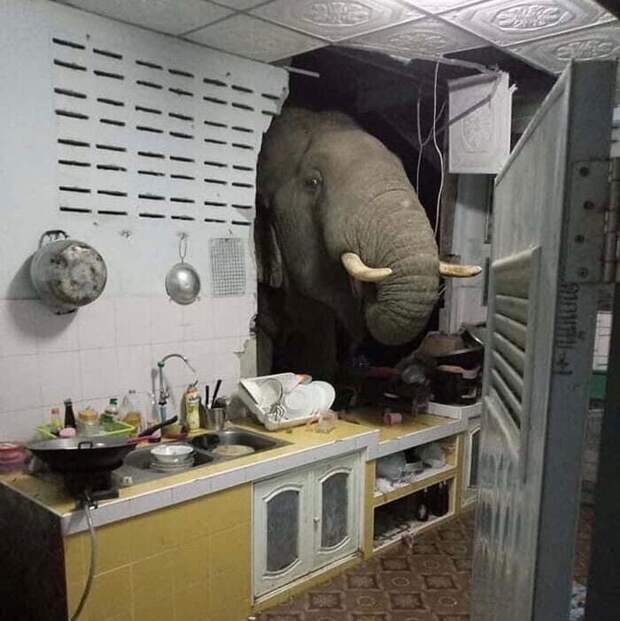 Что-то с реальностью не всё в порядке