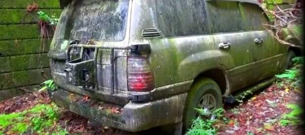 Печальное зрелище: брошенный в лесу Land Cruiser весь порос мхом