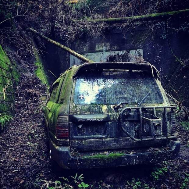 Печальное зрелище: брошенный в лесу Land Cruiser весь порос мхом