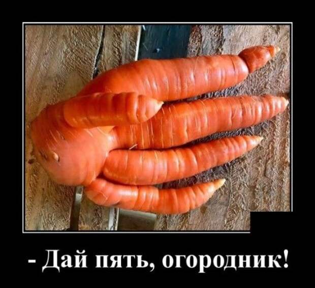 1590607090_1590583476_demotivatory_13.jpg